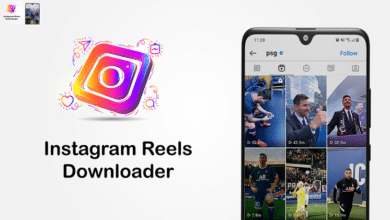 Instagram Reels Downloader